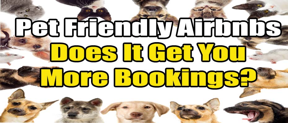 Airbnb Pet Friendly